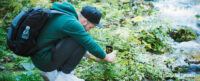 A young male tourist takes pictures on a smartphone camera in a forest. Tourism, active lifestyle