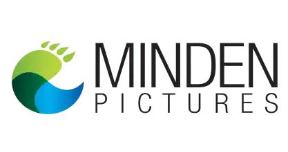Minden Pictures logo